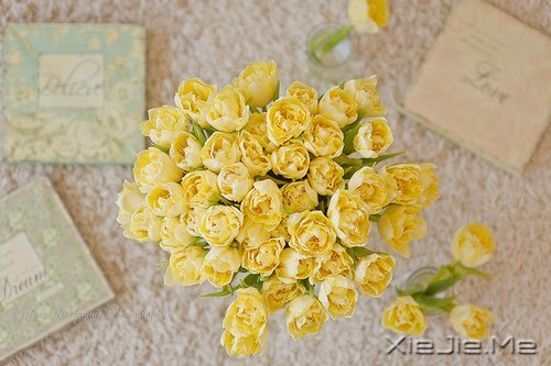 生一分钟气，就失去了60秒的快乐 (1)