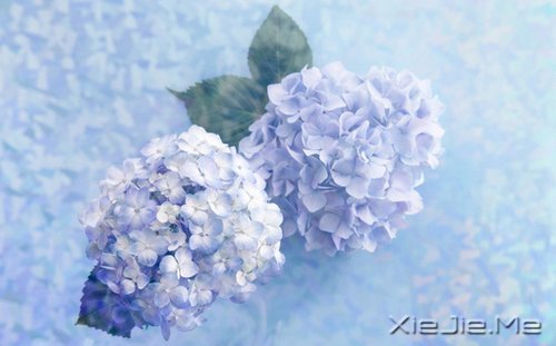 生一分钟气，就失去了60秒的快乐 (2)