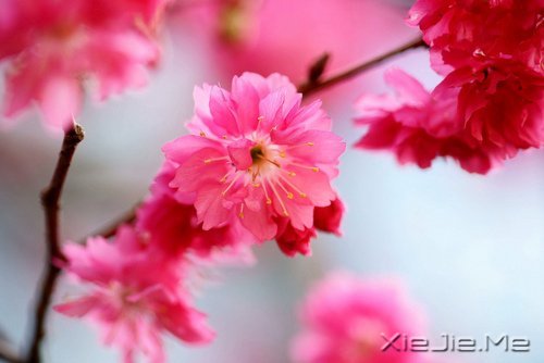 生一分钟气，就失去了60秒的快乐 (3)