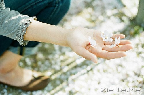 时间不仅让你看透别人，也让你认清自己 (5)