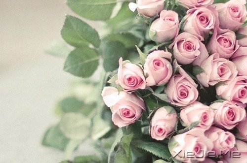 晚安心语：别让人生，输给了心情 (10)