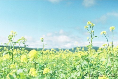 传递正能量，分享20个励志小故事