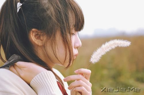 关上门，各自有各自的幸福或眼泪 (1)